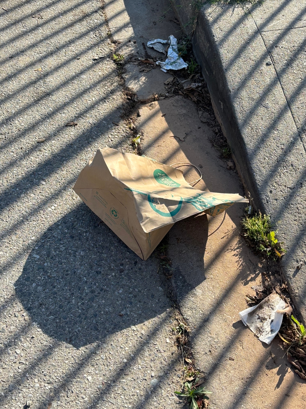 bag1